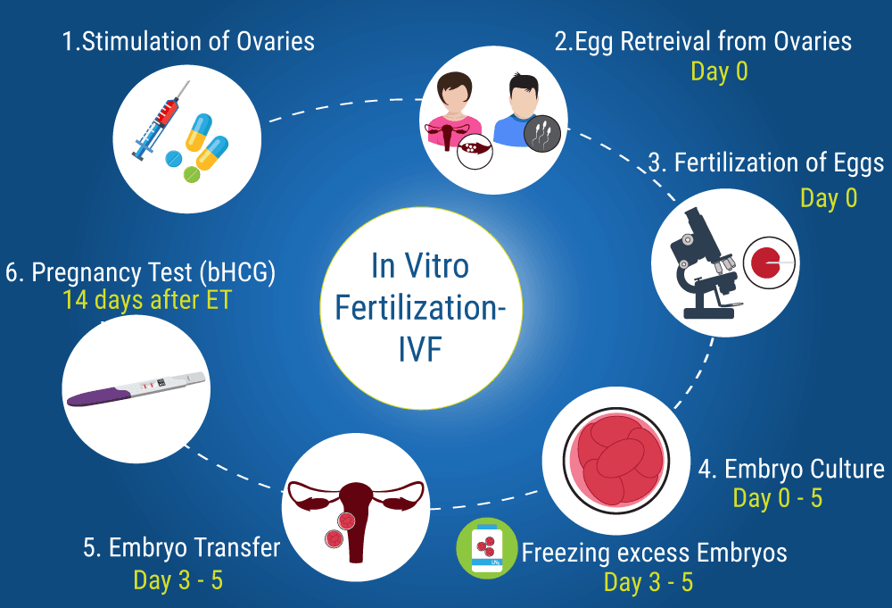 10 Best Clinics For In Vitro Fertilization Ivf In Thailand 2020 Prices 1641